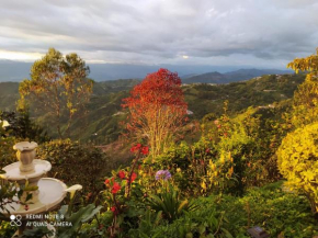 Mirador Finca Morrogacho
